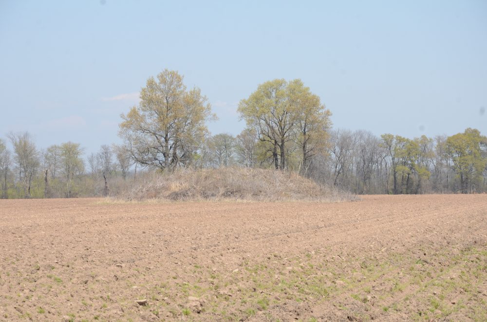 The Coy Site, a Native American mound rising from a plowed field near Coy.